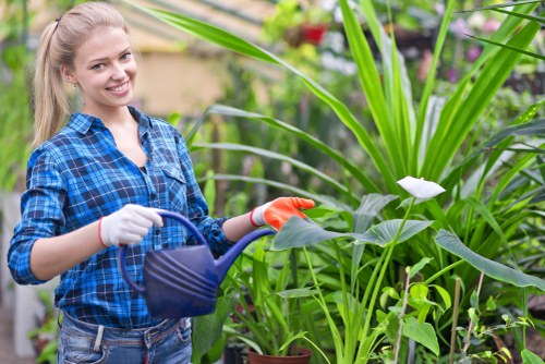 Gardener team arriving at a Bermondsey terrace garden