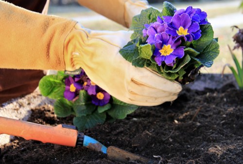 Eco-friendly garden clearance process in Bermondsey