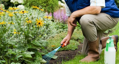 Our team of experienced gardeners at work in Bermondsey