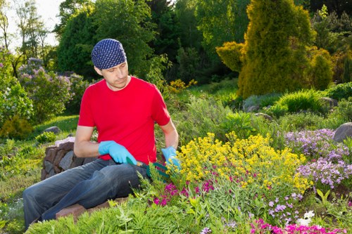 Garden pruning and green waste in a Bermondsey flat