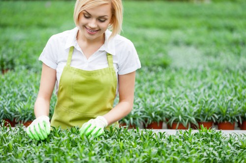 Sustainable gardening practices implemented by Gardener Bermondsey