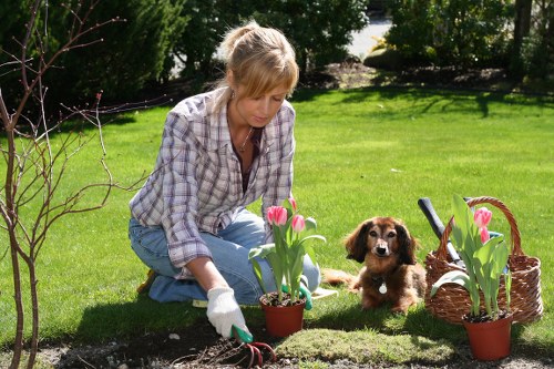 Inspector reviewing garden work